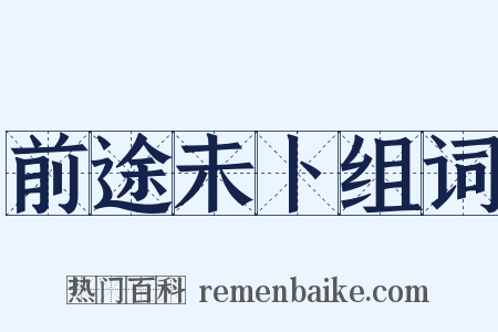 前途未卜组词是什么意思的图片